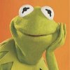 KERMIT111